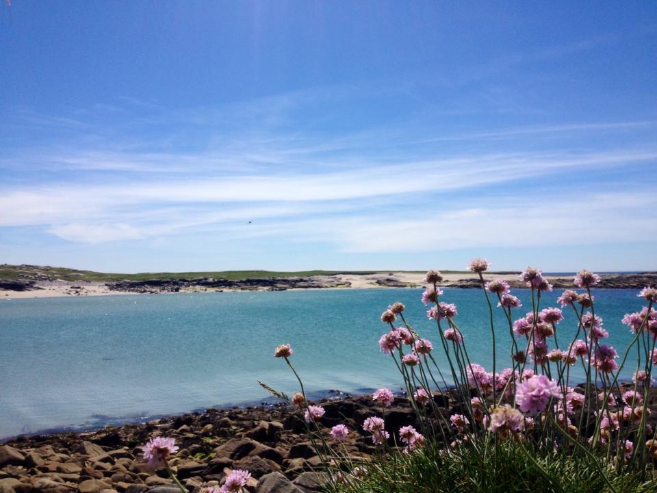 Hotel Dolphin Beach House Clifden Exteriér fotografie